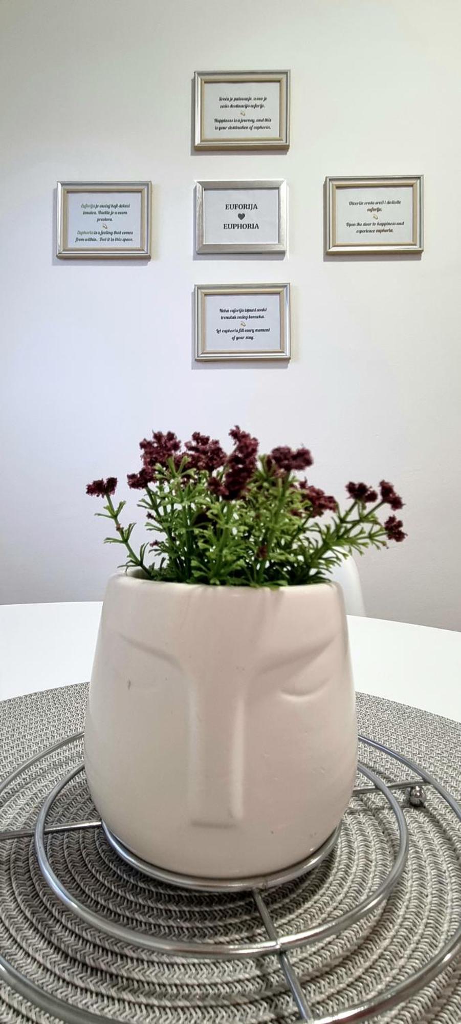 Euforia Apartment 贝尔格莱德 外观 照片