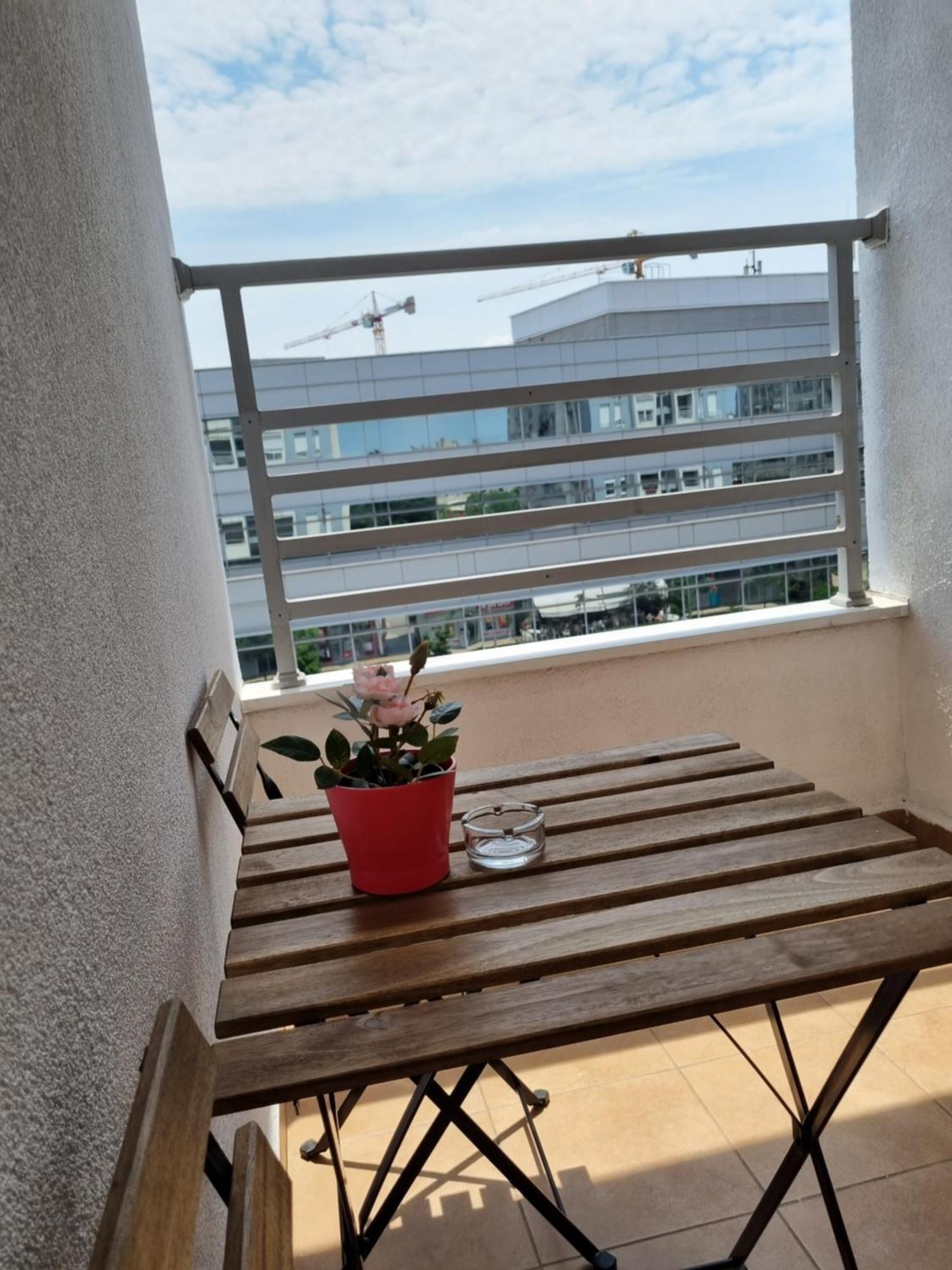 Euforia Apartment 贝尔格莱德 外观 照片
